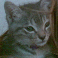 Photo #234044 de Kiki