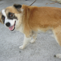 Photo #234076 de Miko