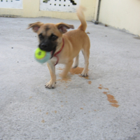 Photo #234081 de Milo