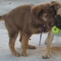 Photo #234082 de Milo