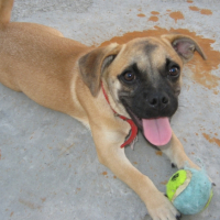 Photo #234083 de Milo