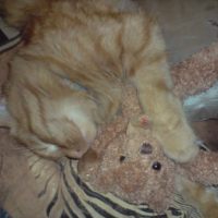 Photo #234165 de Mimi