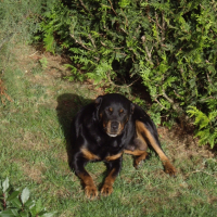 Photo #234243 de Lola