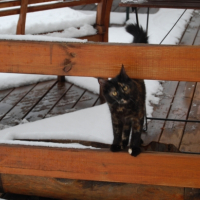 Happy à la neige