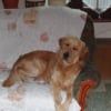 Chez_Benj_et_M_lanie-4-07_023