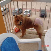 Photo #234415 de Alto