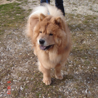 Photo #234416 de Alto