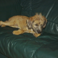 Photo #234445 de Elka