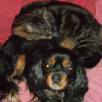 Photo #234446 de Tina