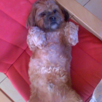 Photo #234643 de Elliot
