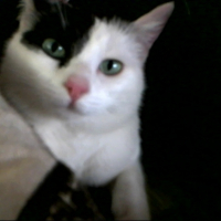 Photo #234663 de Harmonie