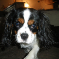 Photo #234705 de Eyka