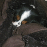 Photo #234706 de Eyka