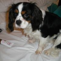 Photo #234707 de Eyka