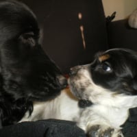 era et eiko