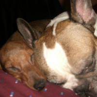 Photo #234829 de Ernest