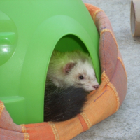 Photo #234847 de Doug