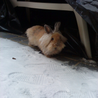 Photo #234882 de Gucci
