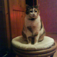 Photo #234896 de Tiiiiii