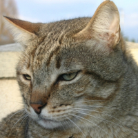 Photo #234990 de Titou