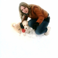 Photo #234997 de Falco