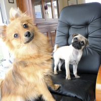 Photo #235029 de Douna