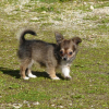 Un petite pose photo