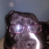 Photo #235273 de Boomker