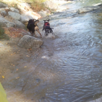 Photo #235278 de Boomker
