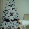 DSC01620