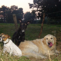 Photo #235367 de Eustach