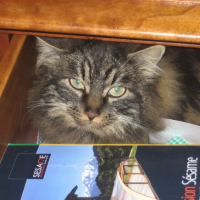 Photo #235402 de Mimolette-wuly