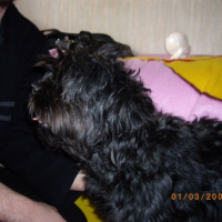 IMGP0458
