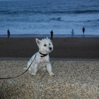 En vacances à la mer