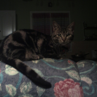 Photo #235550 de Mimi