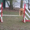 agility