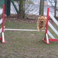 agility