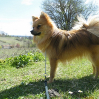 Photo #235583 de Douna