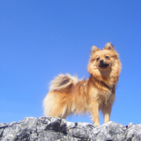 Photo #235584 de Douna