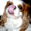 slurp !