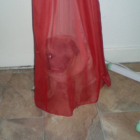Photo #235645 de Spooky