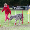 agility_evreux_001