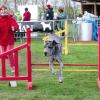 agility_evreux_003