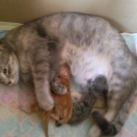 Photo #235721 de Kiara
