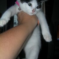Photo #235903 de Ely