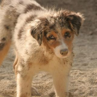 à la plage bb