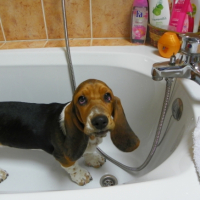 Photo #235957 de Eden
