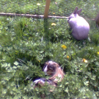 Photo #235976 de Rondoudou
