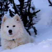 Photo #236045 de Fifty