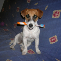 Photo #236051 de Elsie